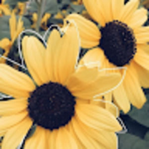 Meet your Posher, Chloe